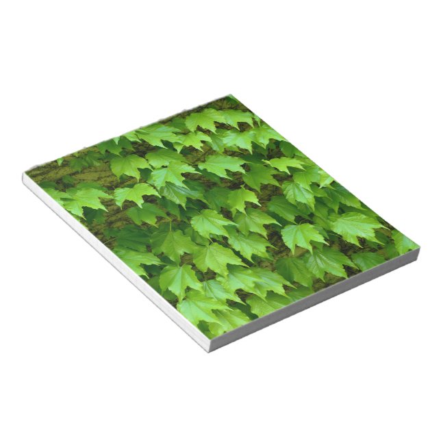Bloc-note Boston Ivy (Incliné)