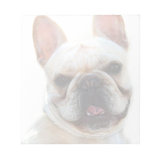 Bloc-note bulldog français (Devant)