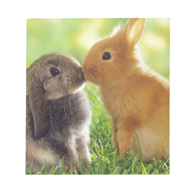 Bloc-note Bunny Kiss (Devant)