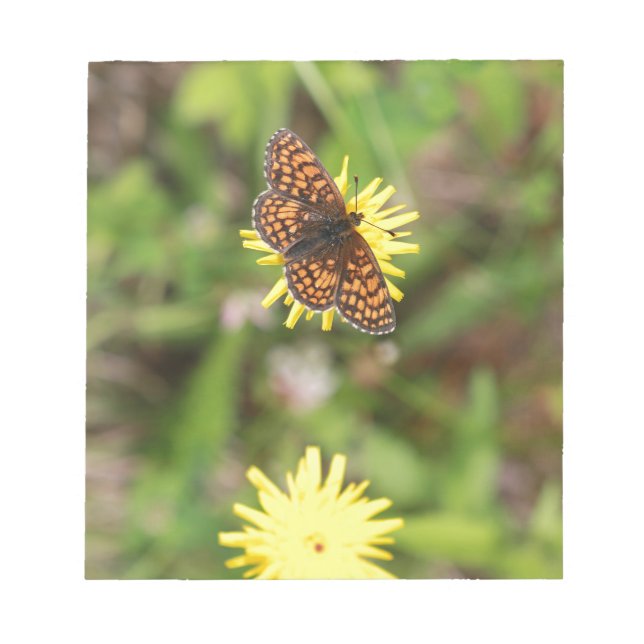 Bloc-note Butterfly (Devant)