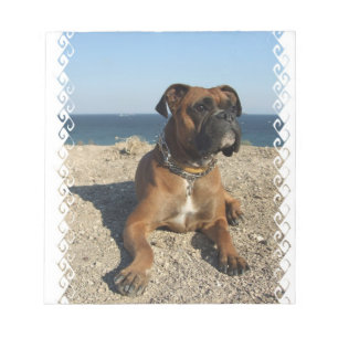 Bloc-note Cahier Boxer Mignon
