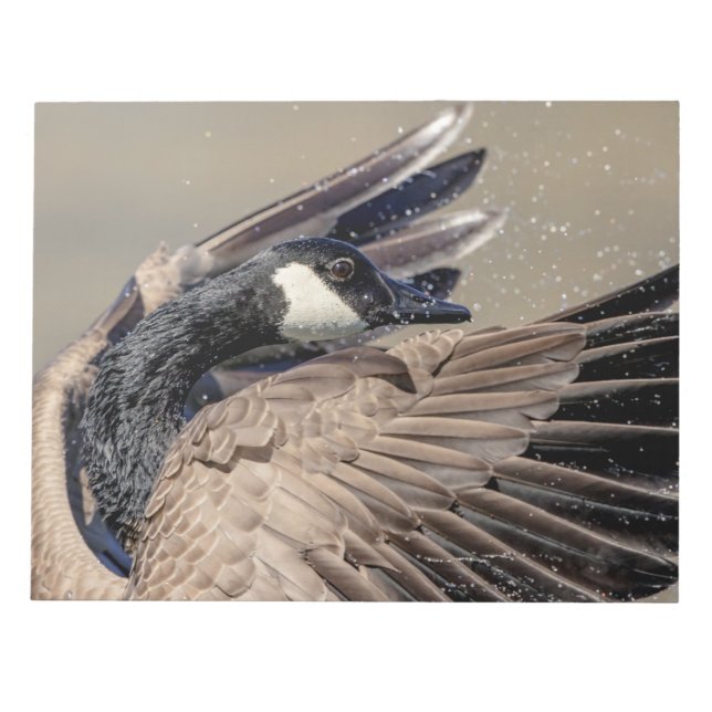 Bloc-note Canada Goose (Devant)