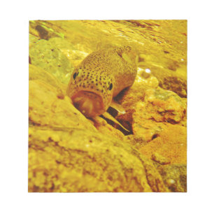 Bloc-note Canal en flux