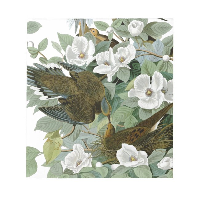 Bloc-note Carolina Pigeon Audubon Morning Dove (Devant)