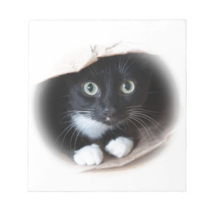 Bloc-note Cat
