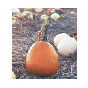 Bloc-note Ce sentiment d'automne
