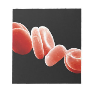 Bloc-note Cellules de sang rouges