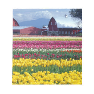 Bloc-note Champ de tulipes