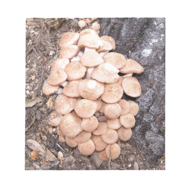 Bloc-note champignons sans anneau (Devant)