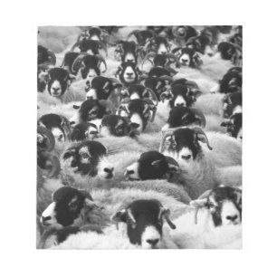 Bloc-note CHARGES de béliers Moutons Noir et Blanc