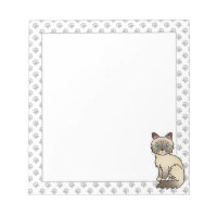 Chat Birman / Ragdoll au point chocolat tabby & Pa