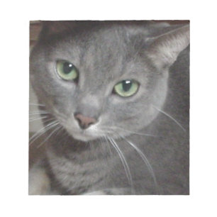 Bloc-note Chat bleu russe