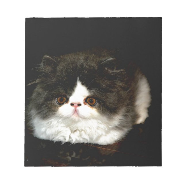Bloc-note Chat chaton blanc noir mignon (Devant)