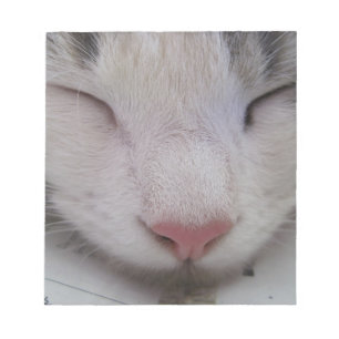 Bloc-note Chat couché