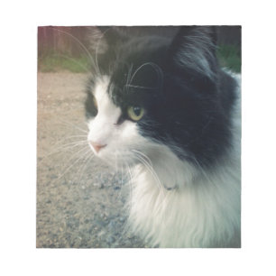 Bloc-note Chat de smoking