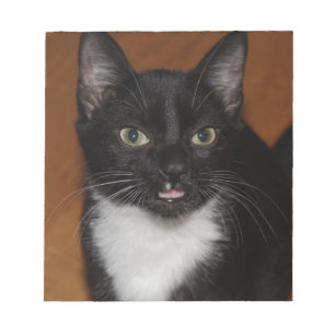 BLOC-NOTE CHAT NOIR ET BLANC