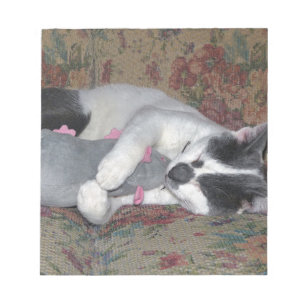 Bloc-note Chaton couchant