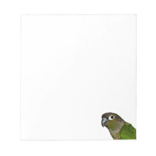 Bloc-note Cheeked vert Conure