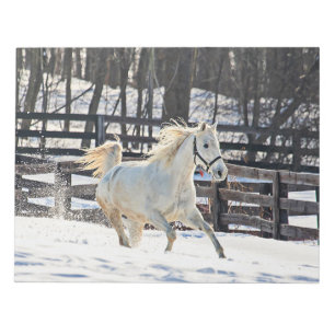 Bloc-note Cheval blanc galopant