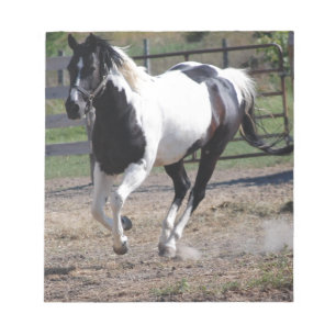Bloc-note Cheval Pinto Paint