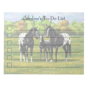 Bloc-note Chevaux Appaloosa Noir Dans Les Pâturages D'Été