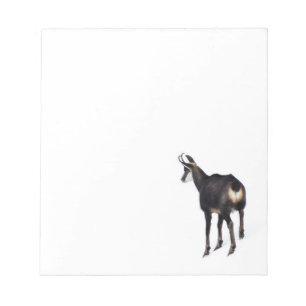 Bloc-note Chèvre montagneuse minimaliste chamois alpin sur n