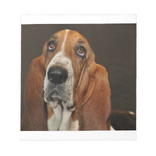 Bloc-note chien 2 de basset-hound