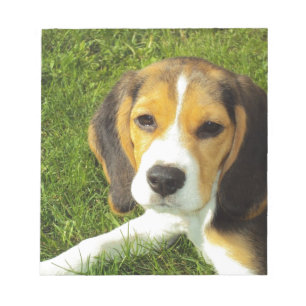 Bloc-note Chien Beagle Animaux de Compagnie Paix Amour