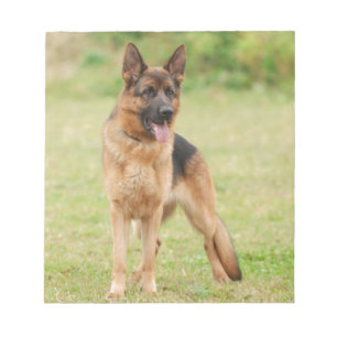 Bloc-note Chien de berger allemand