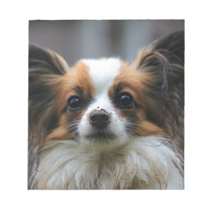 Bloc-note Chien de papillon mou
