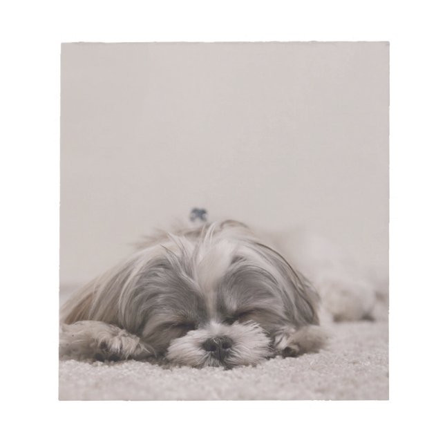 Bloc-note Chien dormant, Chien dormant (Devant)