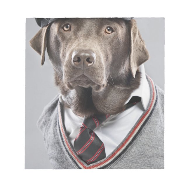 Bloc-note Chien en pull et casquette (Devant)