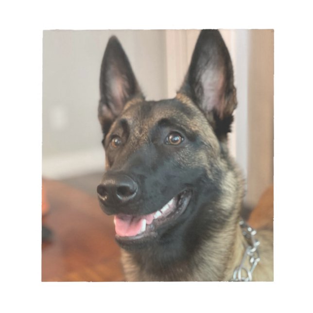 Bloc-note Chien malinois (Devant)