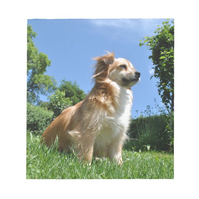 Bloc-note Chien mignon dans l'herbe (Devant)
