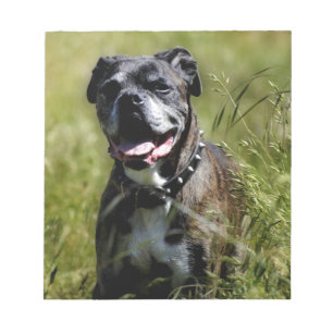 Bloc-note Chien mignon dans l'herbe