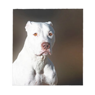 Bloc-note Chien Secouru blanc américain Pitbull Terrier