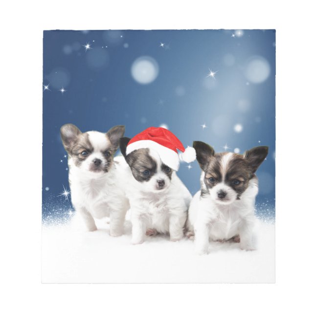 Bloc-note Chihuahua Chiuppies mignonnes avec Noël du Père No (Devant)