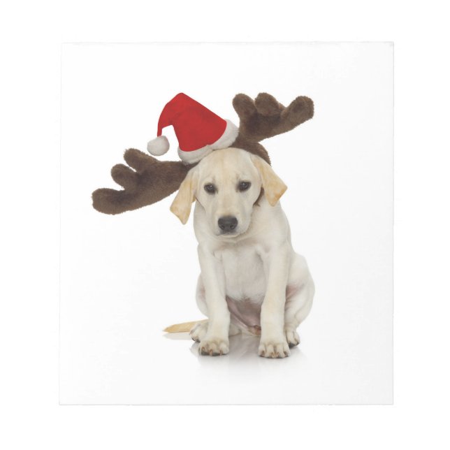 Bloc-note Chiot avec chapeau de Père Noël et oreilles de ren (Devant)