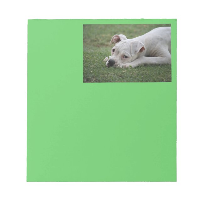 Bloc-note Chiot de boîte à sucre (Devant)