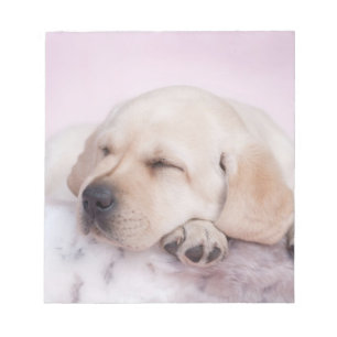Bloc-note Chiot de repêcheur du labrador jaune