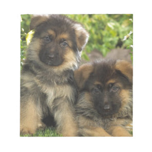 Bloc-note Chiots de berger allemand