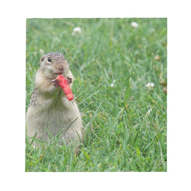 Bloc-note Chipmunk.JPG (Devant)