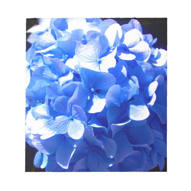 Bloc-note Cobalt bleu floral élégant bleu hydrangées (Devant)