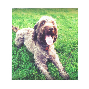 Bloc-note Cockapoo