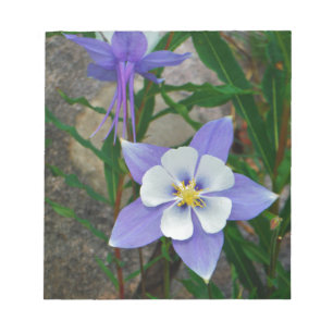 Bloc-note Colonne bleue