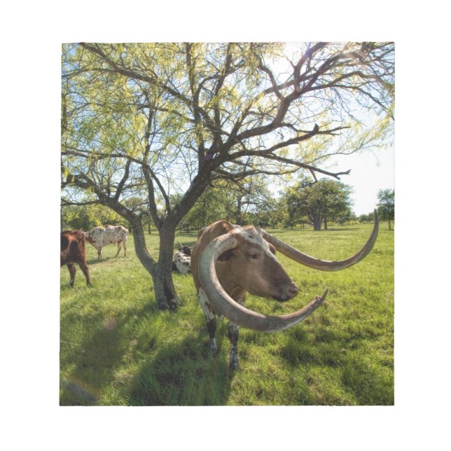 Bloc-note Colossol Texas Longhorn (Devant)