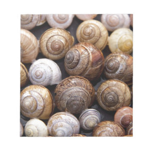 Bloc-note Coques des escargots