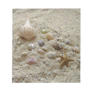 Bloc-note Coquillages Dans Le Sable