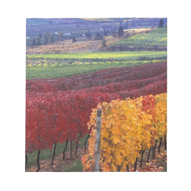 Bloc-note Couleurs d'automne rouges et jaunes intenses sur G (Devant)