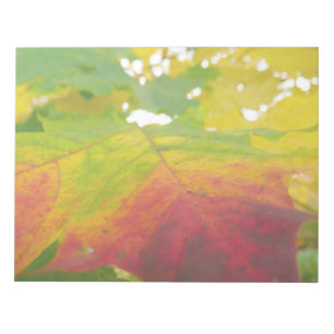 Bloc-note Couleurs de la feuille d'érable Photographie de la